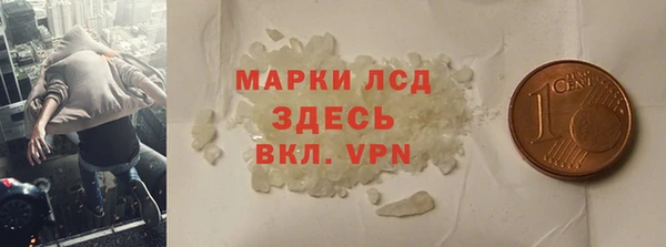 сатива Горняк