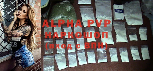 сатива Горняк