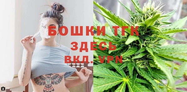 сатива Горняк