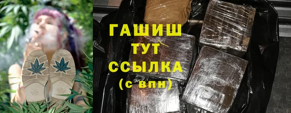 сатива Горняк
