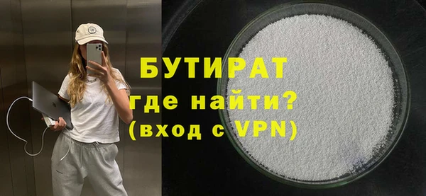 сатива Горняк