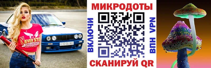 Галлюциногенные грибы Psilocybine cubensis  закладки  Заречный 